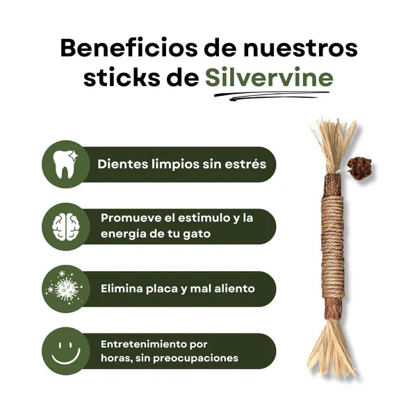 Pack de Sticks Dentales de Silvervine